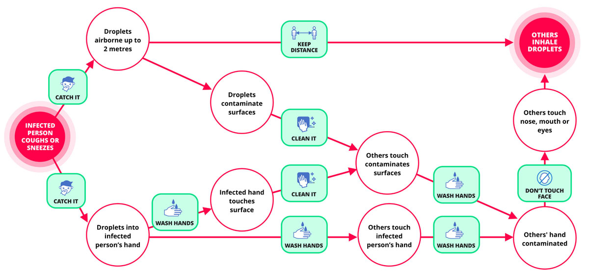 Covid Flow Chart